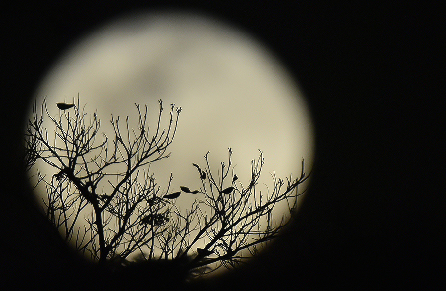 A Lua Cheia, vista de Mateus Leme MG