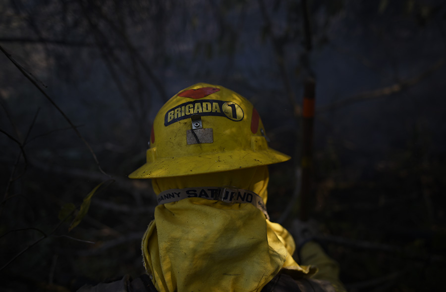 Brigadistas voluntários, Mateus Leme (MG)