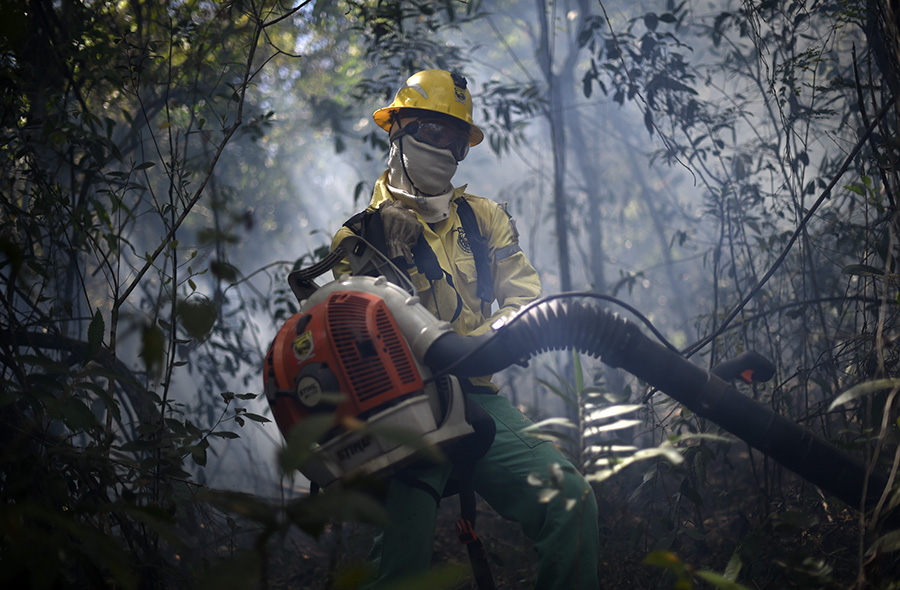 Brigadistas voluntários, Mateus Leme (MG)