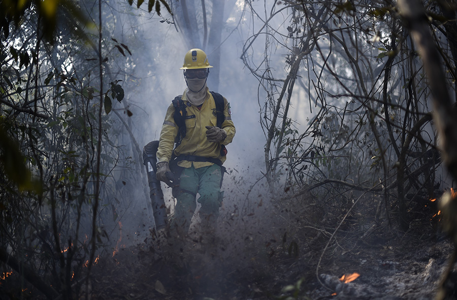 Brigadistas voluntários, Mateus Leme (MG)