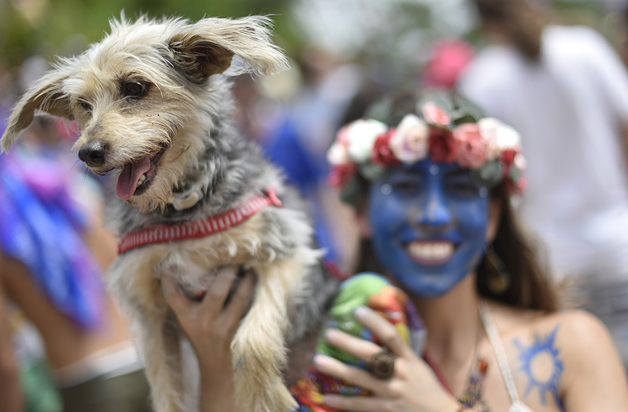 Integrante do bloco Pena de Pavão de Krishna, Belo Horizonte (MG)
